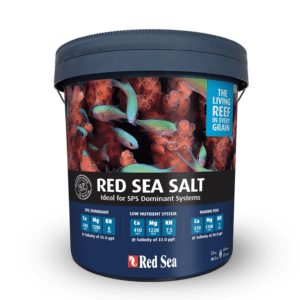 red sea salt bucket photo
