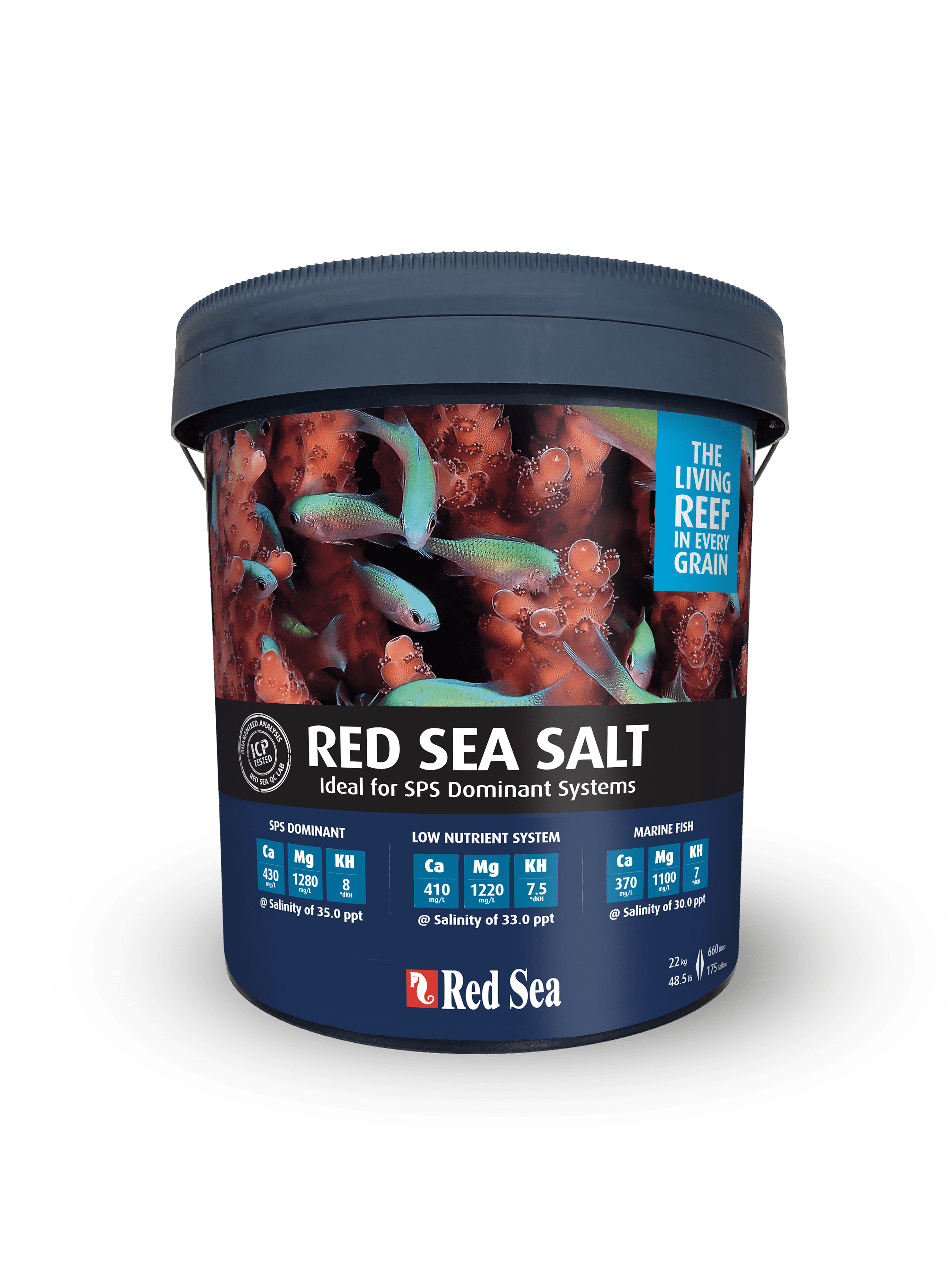 red sea salt bucket photo