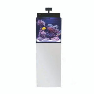 Red Sea Max Nano in white full tank view