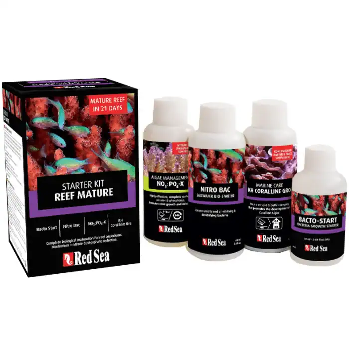 Reef Mature Starter Kit