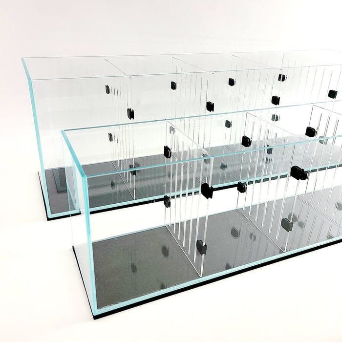 Aquarium Dividers (set of 2) by Lifegard Aquatics - 6 Gallon Bookshelf Aquarium