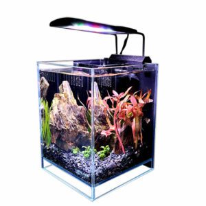 2.65 Gallon Aquarium Betta unboxed