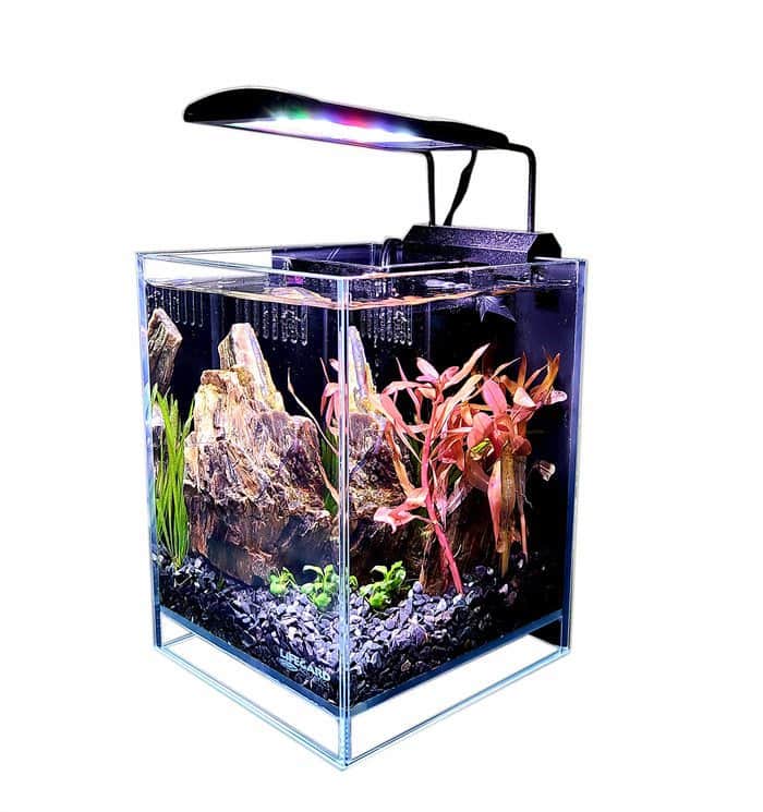 2.65 Gallon Aquarium Betta unboxed