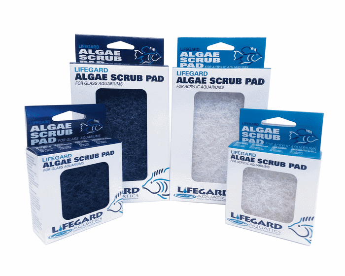 Lifegard algae scrub pad acrylic pictured