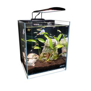 5 Gallon Crystal Aquarium by Lifegard unboxed