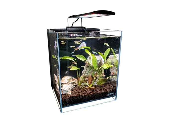 5 Gallon Aquarium Elevated 45° Degree Crystal Lifegard Aquatics