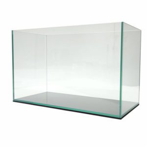 20 Gallon Aquarium Rimless by Lifegard Aquatics with ultra-clear glass, polished edges, and minimalist design for vibrant aquatic displays.