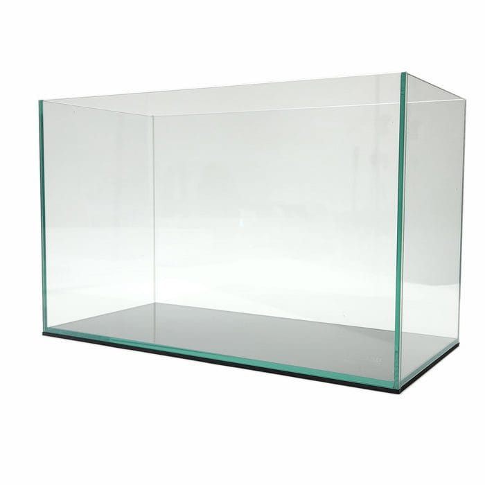 20 Gallon Aquarium Rimless by Lifegard Aquatics with ultra-clear glass, polished edges, and minimalist design for vibrant aquatic displays.