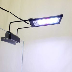 Lifegard High Output 5" Full Spectrum LED