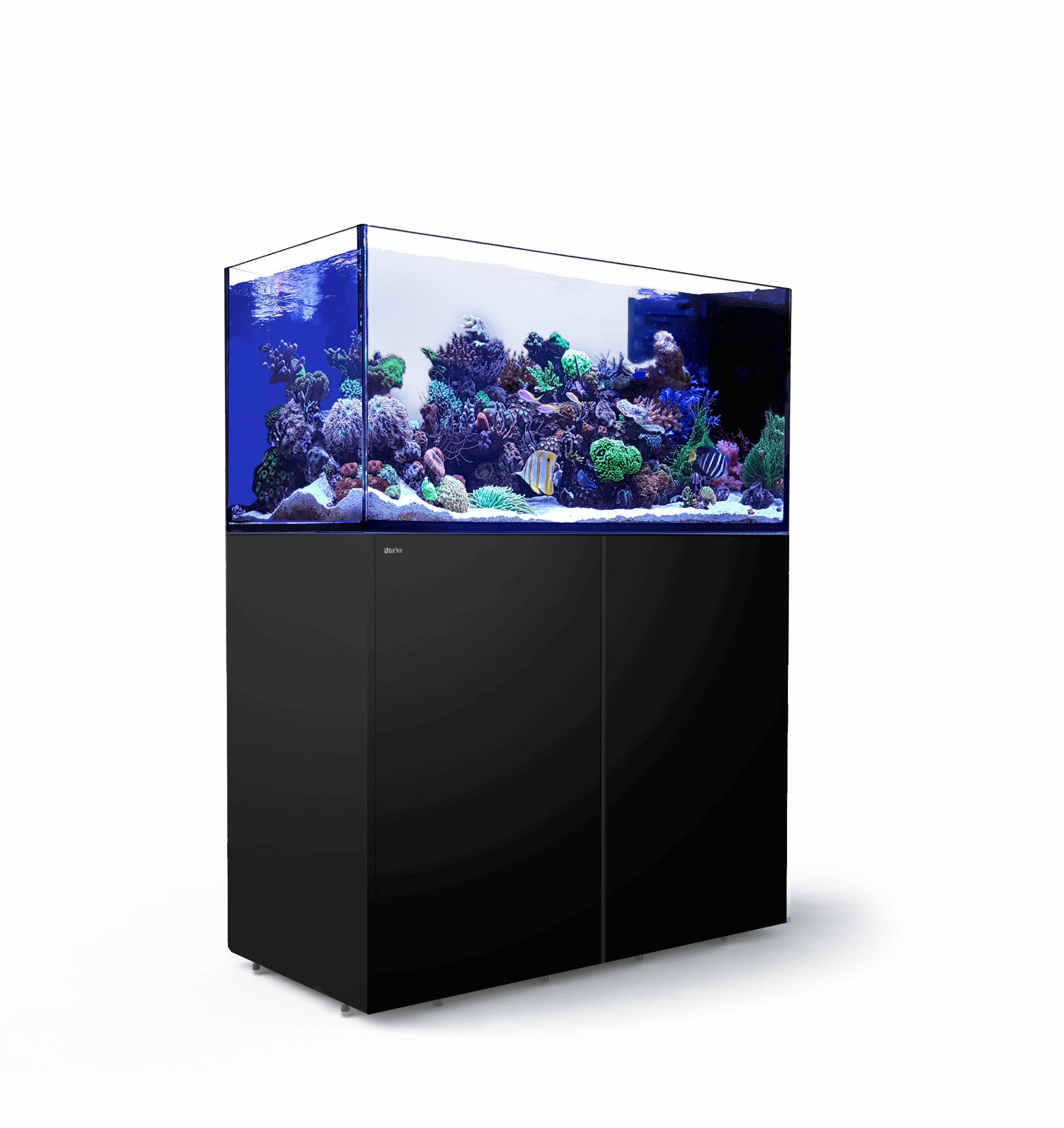 Reefer Peninsula 500 Black by Red Sea unboxed
