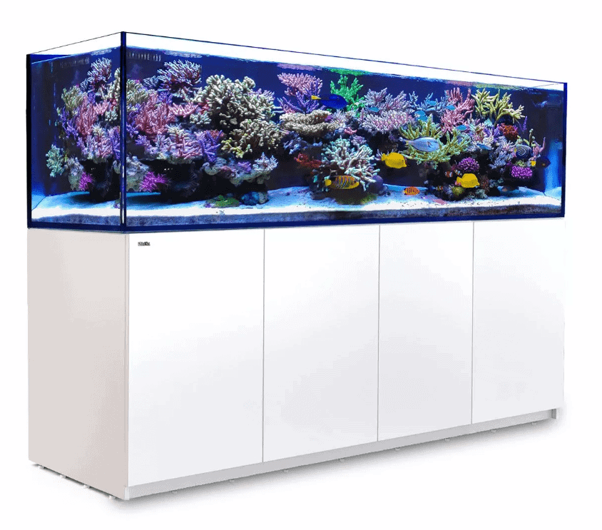 Reefer 900 G2 - White
