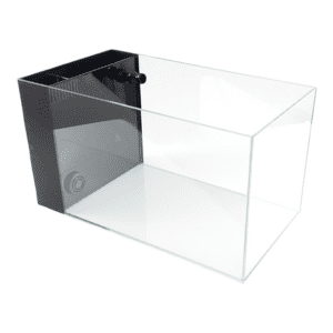 Lifegard Aquatics 7.43 Gallon Peninsula Aquarium with ultra-clear glass, rimless design, and side filtration for vibrant aquatic displays.