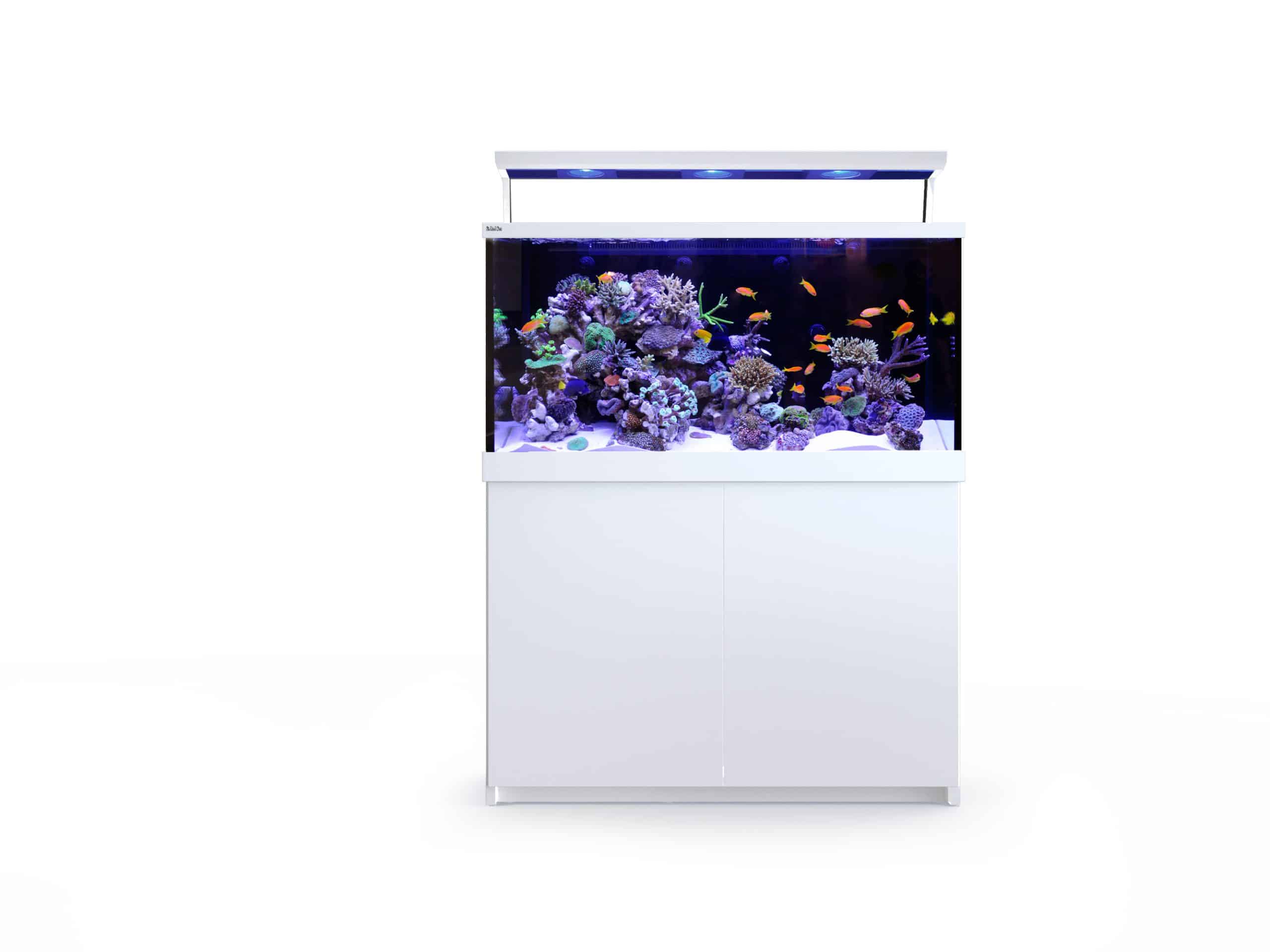 Red Sea Max S 500 LED Complete Reef System with ReefLED™ lighting and REEF-SPEC® filtration for optimal coral growth and reef management.