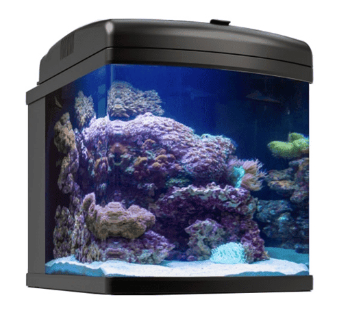 Nano Cube JBJ 24G Aquarium with LED lighting, ultra-clear glass, and filtration system for freshwater and saltwater setups.