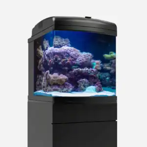 28G Nano Cube AIO with LED lighting, curved glass, and integrated 3-stage filtration system in a modern setup