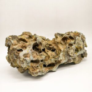 Aquarium Dragon Stone Medium unboxed