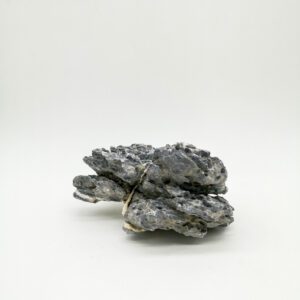 Seiryu Stone Small