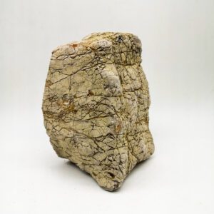 Elephant Skin Stone Small unboxed