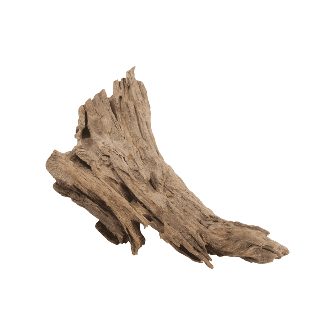 Malaysian Driftwood - Small (7.9