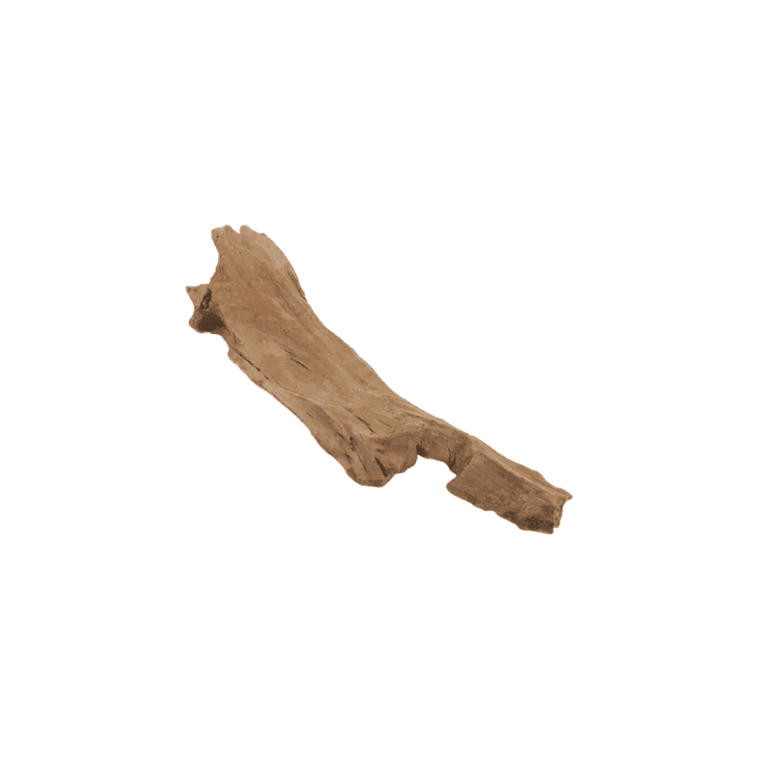 Malaysian Driftwood - Medium (10.2