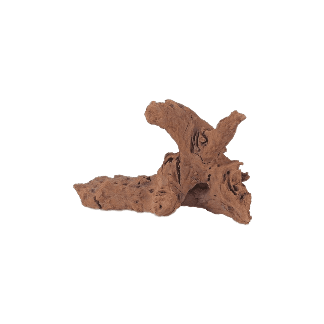 Malaysian Driftwood - Large (16.9