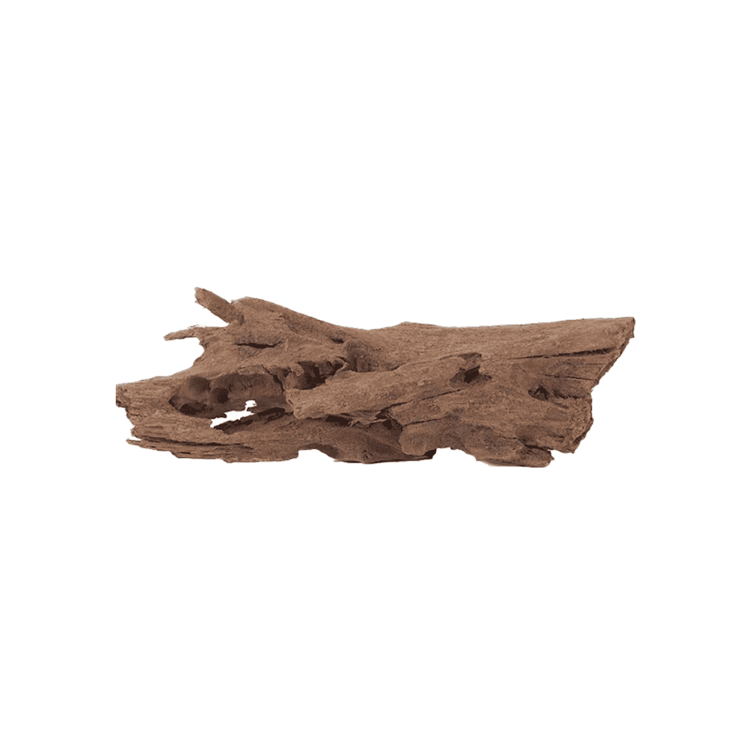 Malaysian Driftwood - XL (24