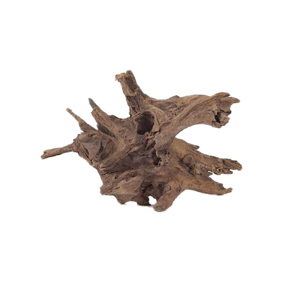 Malaysian Driftwood - XXL (27