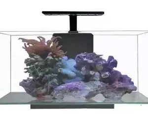 JBJ Rimless Desktop 10 Gallon Flat Panel Aquarium with Lyra 10W LED rimless nano tank for home or office