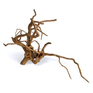 Spider Wood Medium