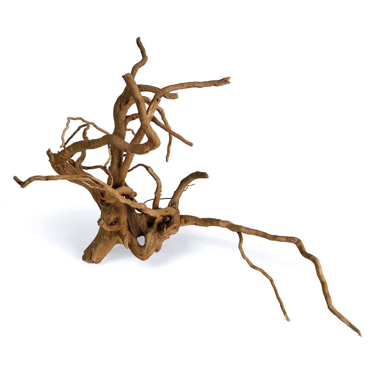 Spider Wood - Medium (12