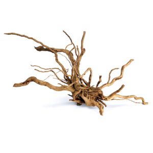 Spider Wood - XL