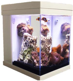 JBJ Nanocube 3 Gallon Cubey in White