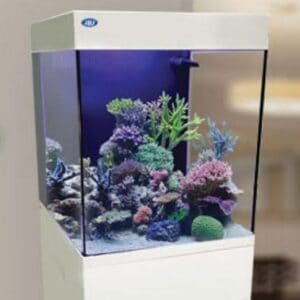 JBJ Nanocube 15 Gallon unboxed