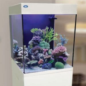 JBJ 10 Gallon Cubey White assembled