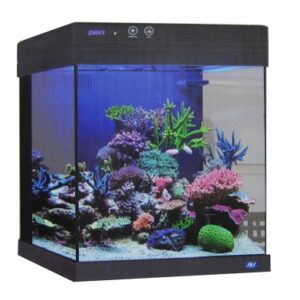 black 10 gallon JBJ Nano Cube Aquarium with canopy and filter compartments