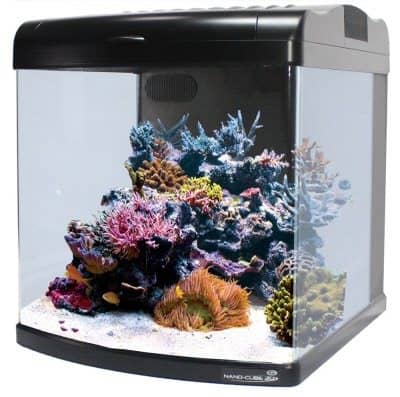 Nano Cube 12G + LED (2) by JBJ Aquarium with clear glass, LED lighting, and built-in filtration.