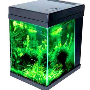 JBJ Nanocube 3 Gallon Cubey in Black