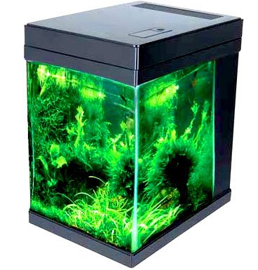 JBJ Nanocube 3 Gallon Cubey in Black