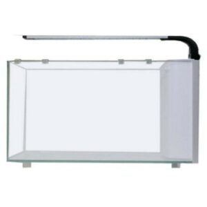 6G Curved Glass Peninsula Aquarium with Lyra LED Light by JBJ Aquarium on desktop table with vibrant coral and small fish