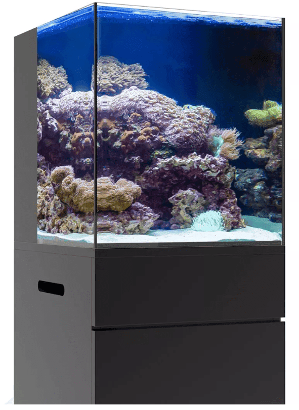 JBJ Aquarium Nano Rimless 15 Gallon AIO Tank