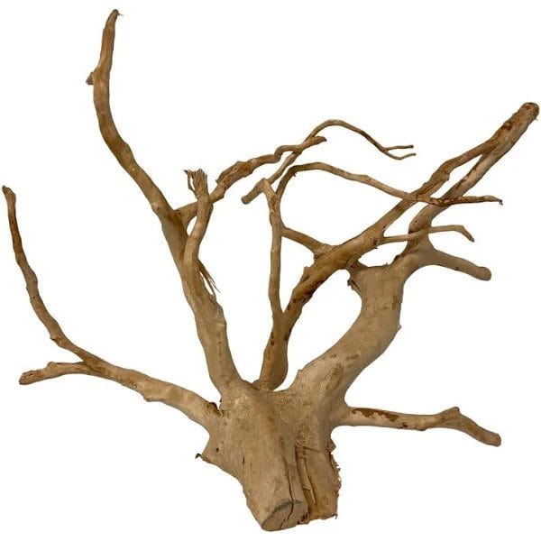 Spider Wood - Small (8
