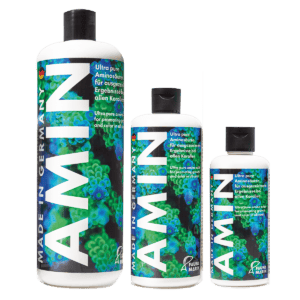 fauna marin amin 500