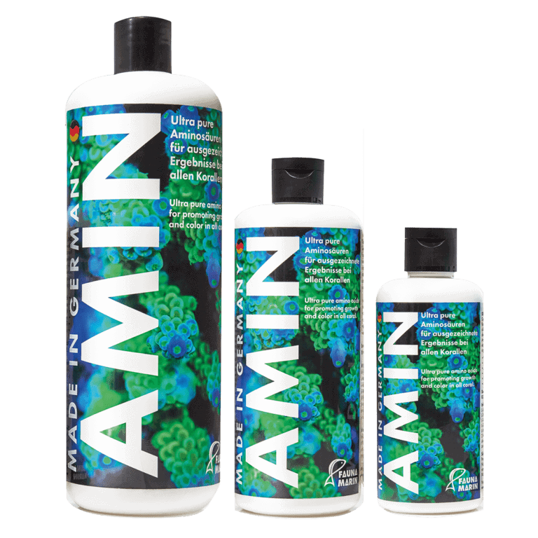 fauna marin amin 500