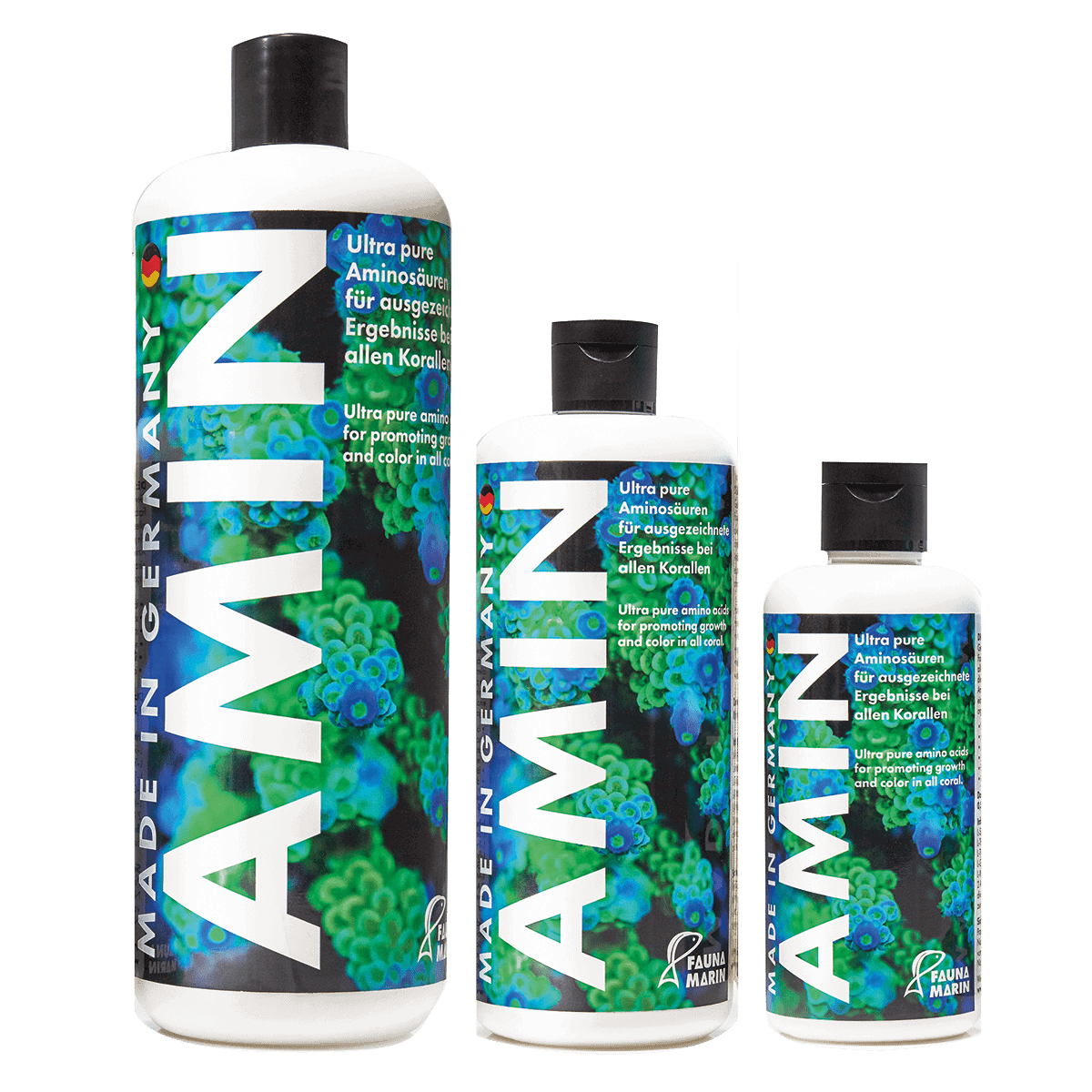 fauna marin amin 500