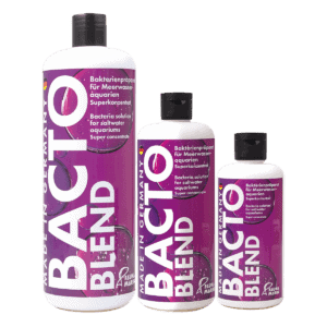Bacto Reef Blend 500 ml by Fauna Marin probiotic supplement for reef aquariums to enhance water clarity and support healthy aquatic life.