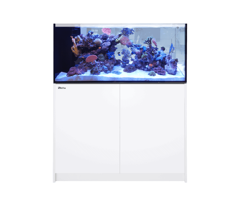 Reefer Peninsula G2+ 500