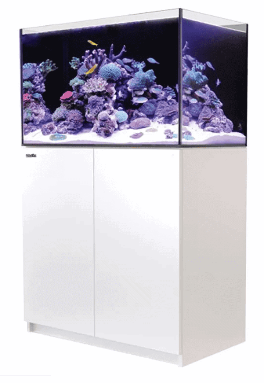 Red Sea Reefer 250 G2+ Complete System in White with rimless glass, ReefATO+ system, and advanced sump for reef enthusiasts.