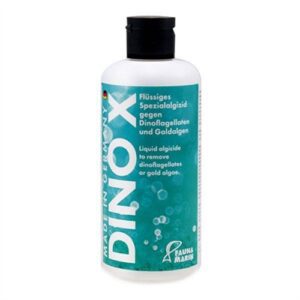 fauna marin dino x