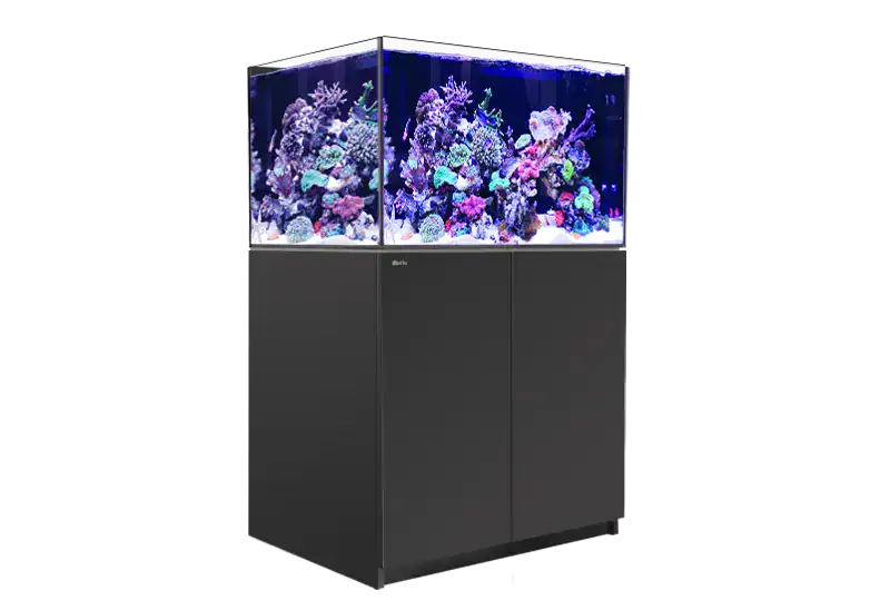 red sea reefer xl 300 shown in centered photo