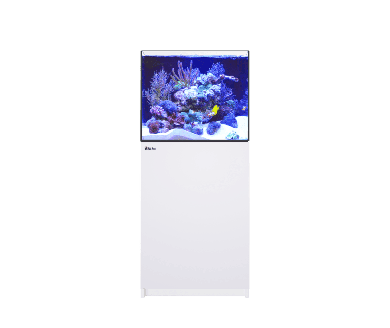 red sea reefer XL